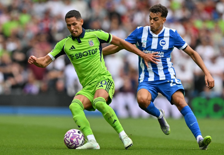Taruhan Premier League: Tottenham Hotspur vs Fulham